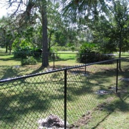 Chain Link Fences Tampa Fl