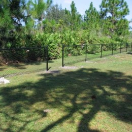 Residential chain Link Fence Contractor Tampa